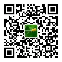 儿童如何在游戏中学习篮球技术_1